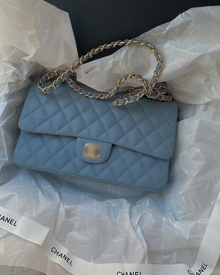 CC Vintage Sky Blue purse